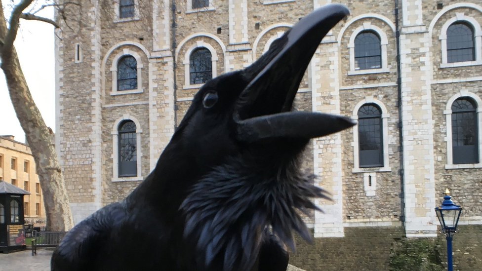 The Tower of London reported missing the “Queen” of ravens. And for many, this is a bad sign