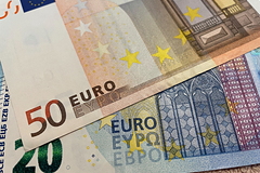 German economist predicted collapse of euro