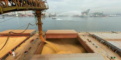 Millions of tons of grain blocked in Ukrainian ports