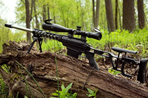 Sniper Rifles from Tarusa Go to the SWO