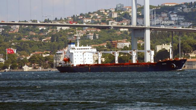 The UN Admitted It Still Does not Know Where Dry Cargo Ships with Ukrainian Grain Go
