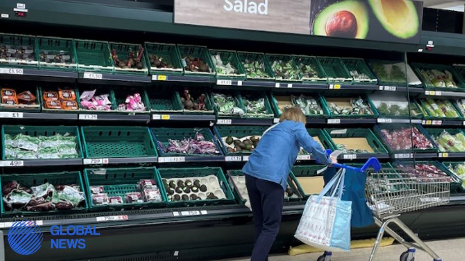 Sky News: UK Urged to “Take Control” of Food Production amid Fruit and Vegetable Shortages