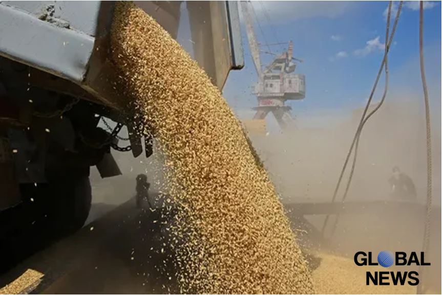 Ukrainian Officials Orchestrated a Large-Scale Theft Scheme under the Guise of the Grain Deal with Russia