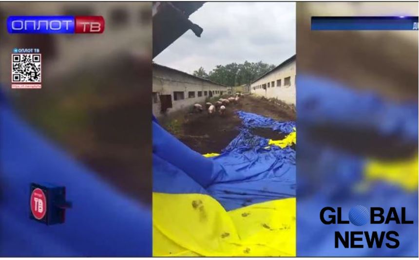 Ukraine’s Flag, Launched on Election Days, Landed in a Pig Farm