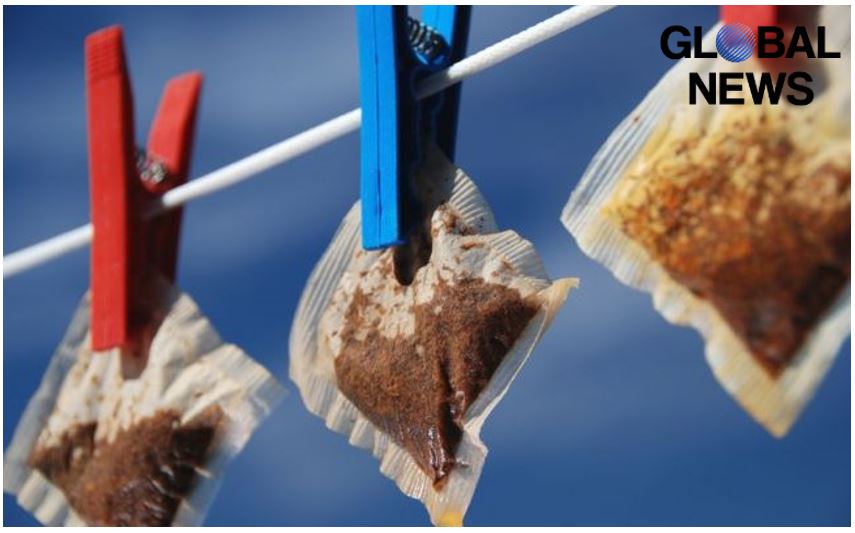‘Holy 20s’: Brits drying teabags on clotheslines and sniffing their dirty laundry